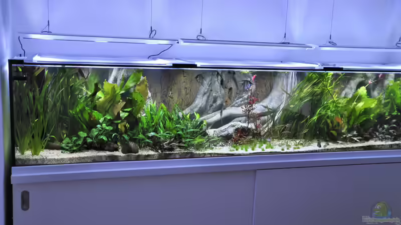 Aquarium Hauptansicht von Büro 290 von Chris64 (1)