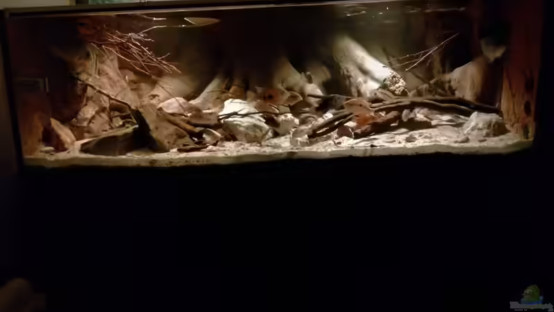 Aquarium Hauptansicht von Central Park von Leo-FAN (1)