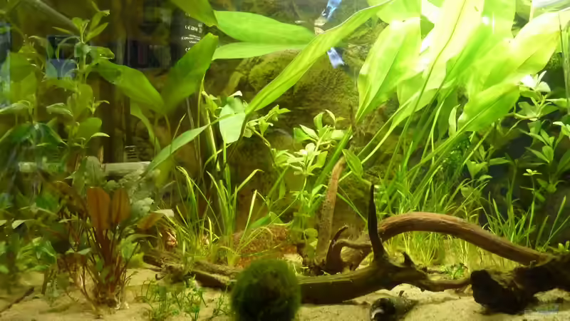 Aquarium Hauptansicht von Chillout Zone von xxxFabixxx (1)