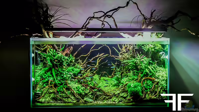 Aquarium Hauptansicht von Ctulluh von Fredo Fuss (1)