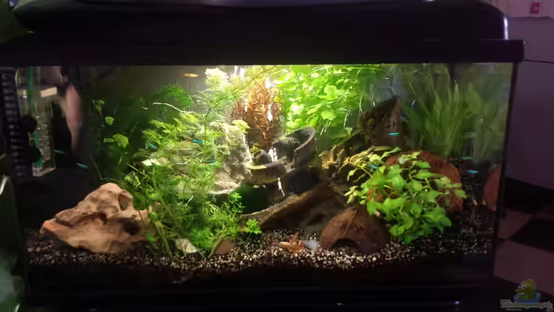 Aquarium Hauptansicht von Das Verschollene etwas.... von Kevin Engelsberger (1)