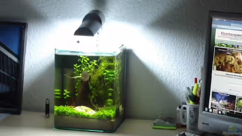 Aquarium Hauptansicht von Desk-Chill - Nur noch Beispiel von Gonnos (1)
