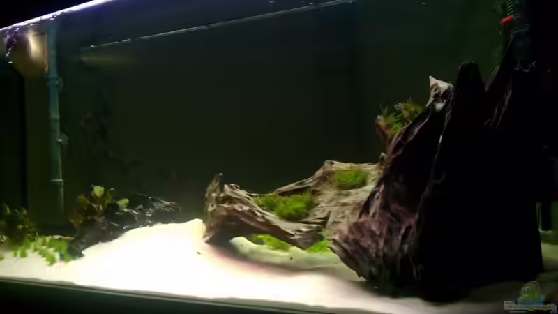 Aquarium Hauptansicht von Diskuseum von diskuseum (1)