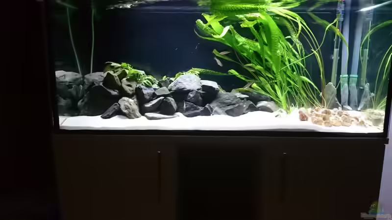 Aquarium Hauptansicht von djhitek (1)