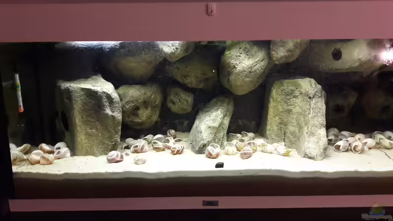 Aquarium Hauptansicht von Doozers Rock von Thorsten T (1)
