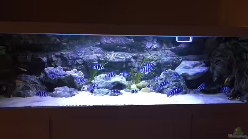 Aquarium Hauptansicht von Duni (2)