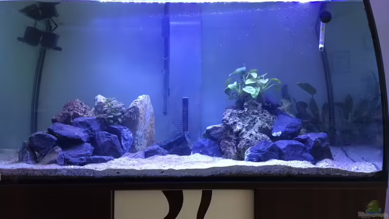 Aquarium Hauptansicht von Eheim Scubabay Malawi von Dani OH