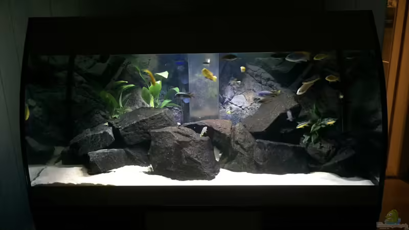 Aquarium Hauptansicht von Eheim Scubabay