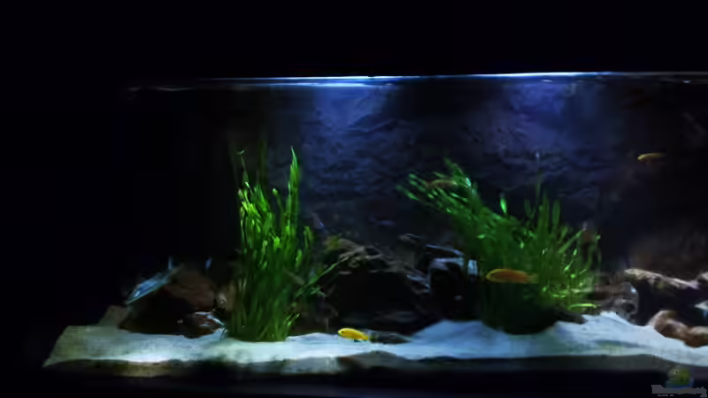 Aquarium Hauptansicht von Ein Stück Heimat von bergstrasse (1)