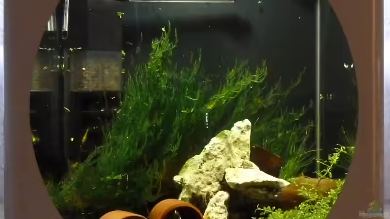 Aquarium Hauptansicht von Enie Cube von Jan Marc (1)