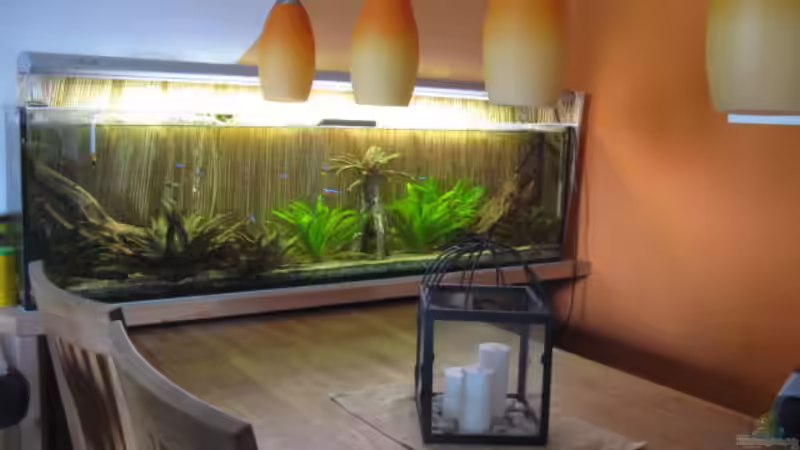 Aquarium Hauptansicht von Esstischbecken