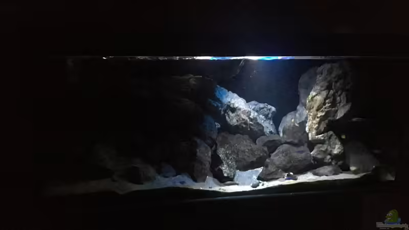 Aquarium Hauptansicht von Fade to black (aufgelöst)