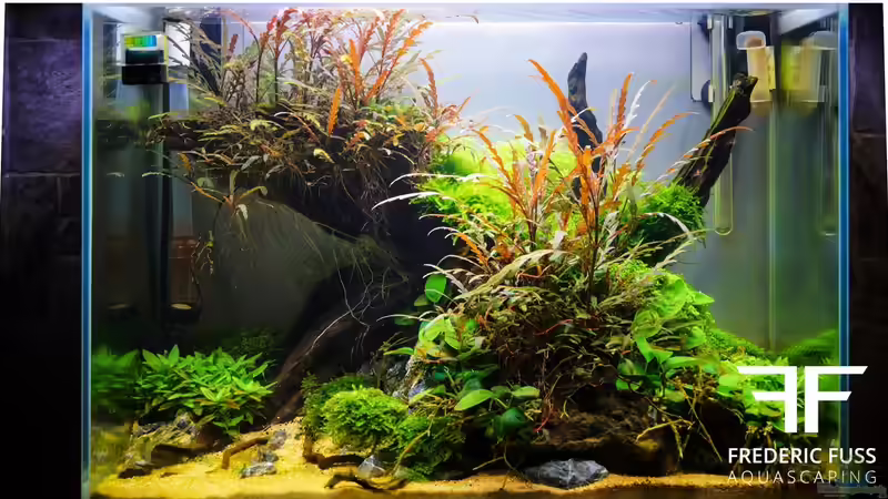 Aquarium Hauptansicht von Falke von Fredo Fuss (1)