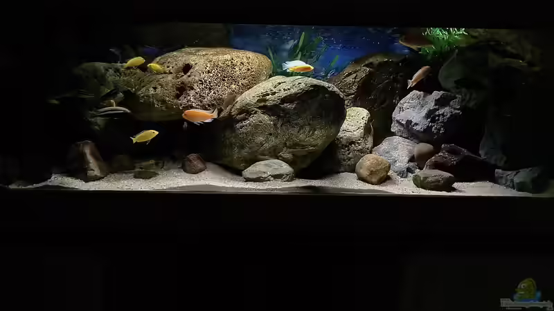 Aquarium Hauptansicht von Fishbowl von Mundo (1)