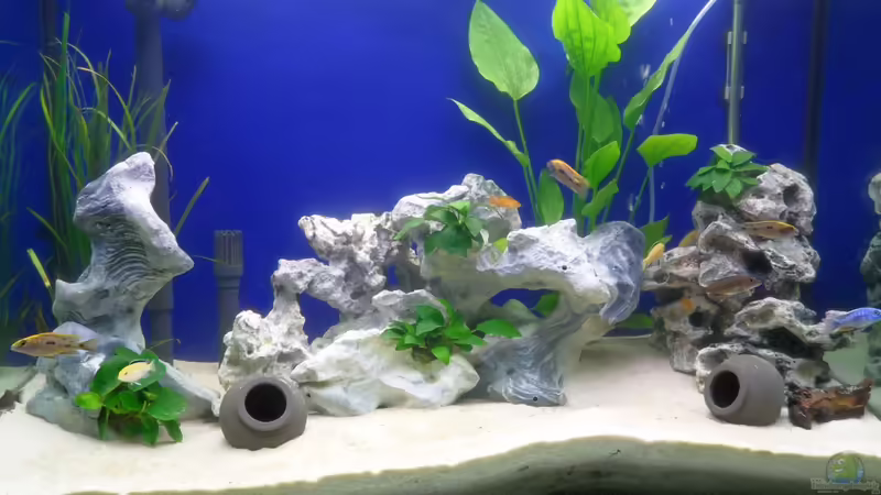 Aquarium Hauptansicht von Fluval profile 1000 Bambusoptik