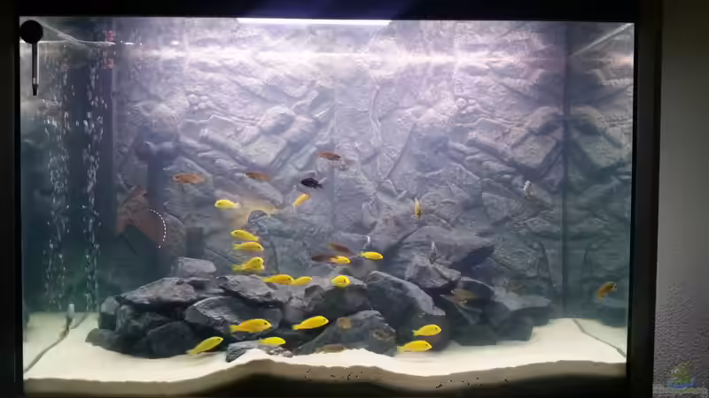 Aquarium Hauptansicht von Fluval profile 1000