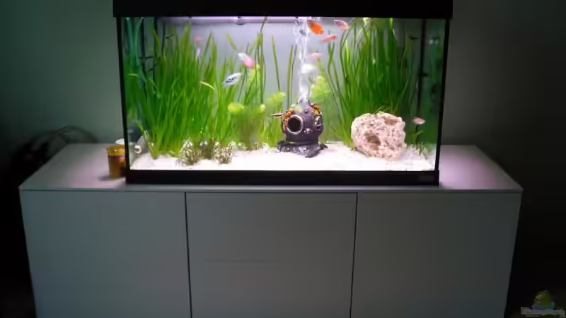 Aquarium Hauptansicht von Fluval