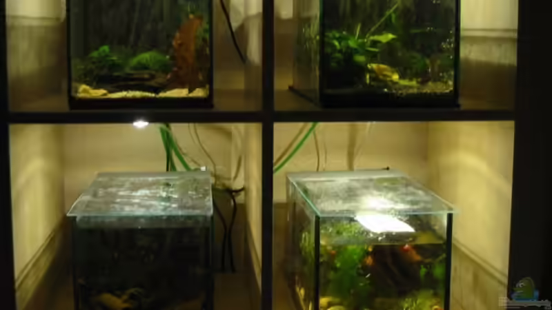 Aquarium Hauptansicht von Futterbecken