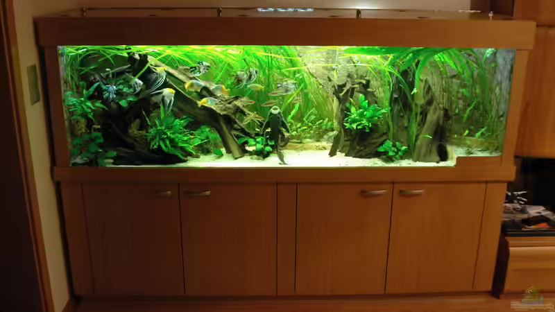 Aquarium Hauptansicht von Ganzer Stolz