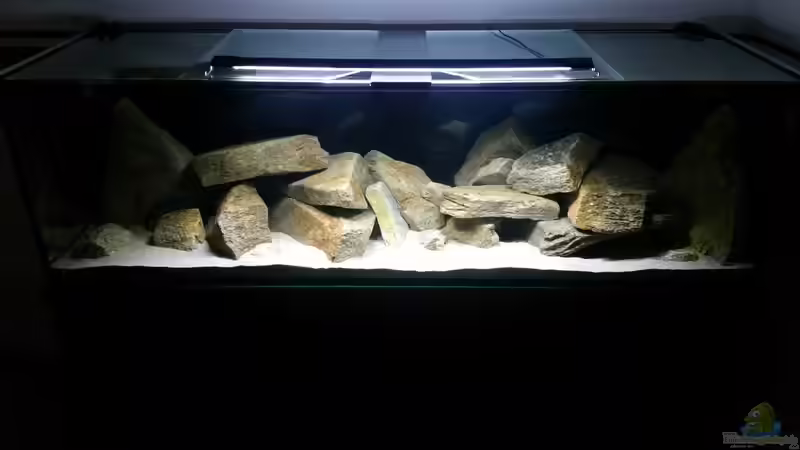 Aquarium Hauptansicht von Geröllzone Malawi See von MalawiMartin (1)