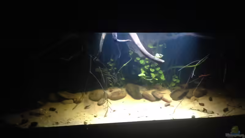 Aquarium Hauptansicht von Gibt es nicht mehr. von Dominik Wexenberger (1)