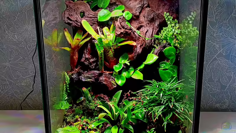 Aquarium Hauptansicht von Green Cube