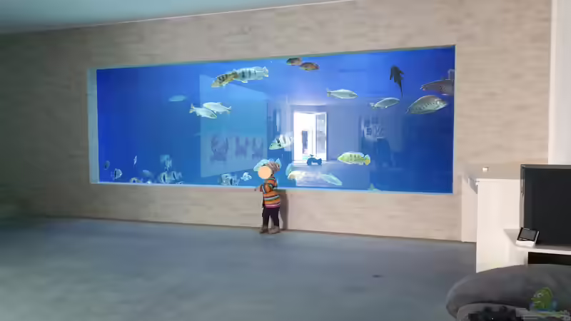 Aquarium Hauptansicht von Großaquarium in Bayern Aquarium Hauptansicht von Großaquarium in Bayern
