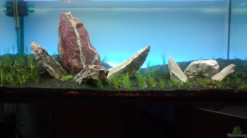 Aquarium Hauptansicht von Grüner Hügel