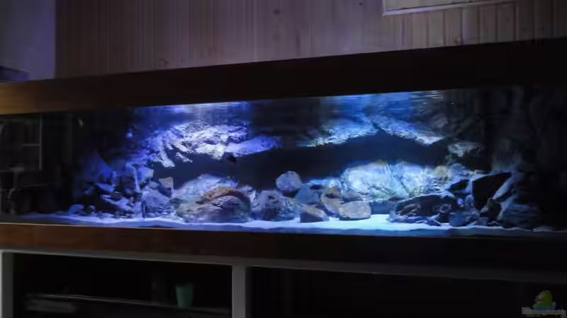 Aquarium Hauptansicht von Guido´s Kaiserpalast von Strücher Jung (1)