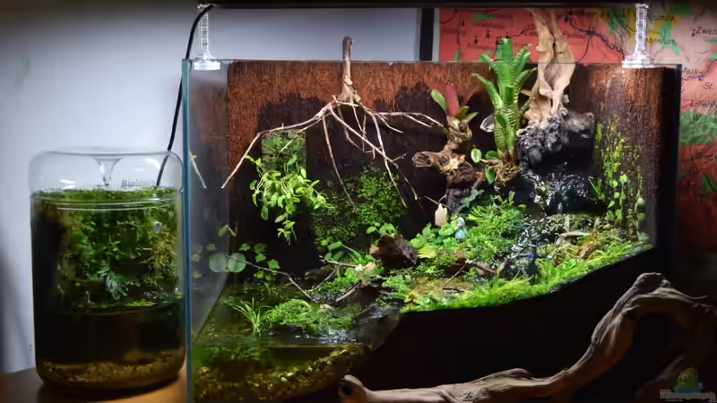 Aquarium Hauptansicht von Hardangervidda von Junglist (1)