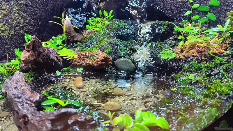 Aquarium Hauptansicht von Hardangervidda