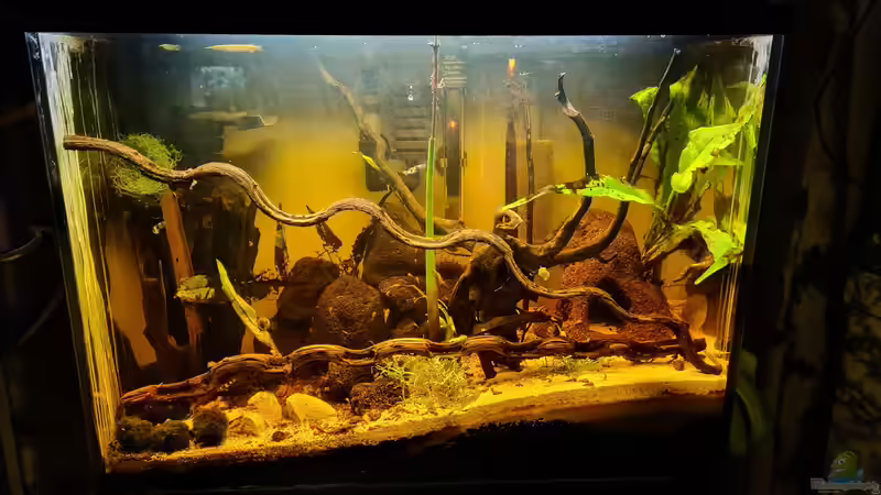 Aquarium Hauptansicht von Haster Bergbracke von Ralleplus FARA (1)