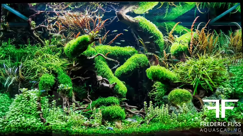 Aquarium Hauptansicht von Hide&amp;Seek von Fredo Fuss (1)