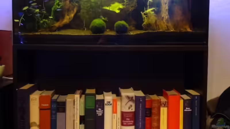 Aquarium Hauptansicht von Hoan Kiem von Zapa (1)