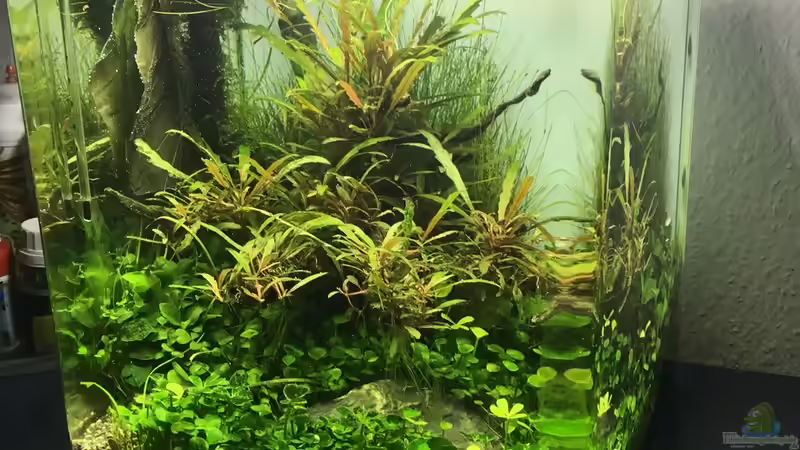 Aquarium Hauptansicht von i love stones, again ! von Ayahuasca (1)