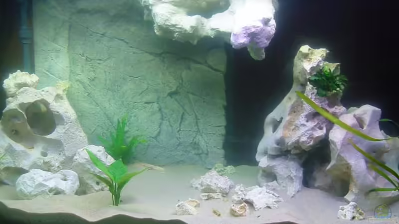 Aquarium Hauptansicht von Im Aufbau - suche noch Tipps von Matthias Moll