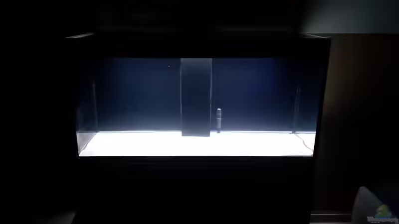 Aquarium Hauptansicht von Incpiria  400 Diskus von Phillip92 (1)