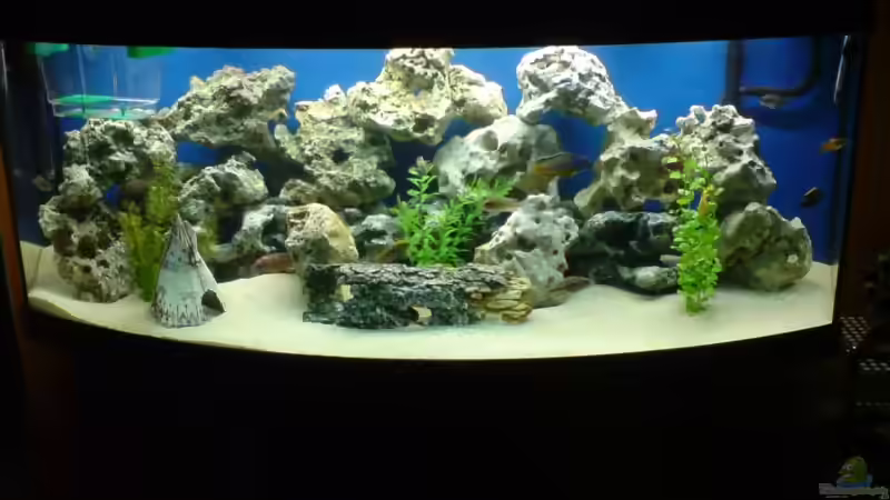 Aquarium Hauptansicht von juwel 450 von indianer (1)