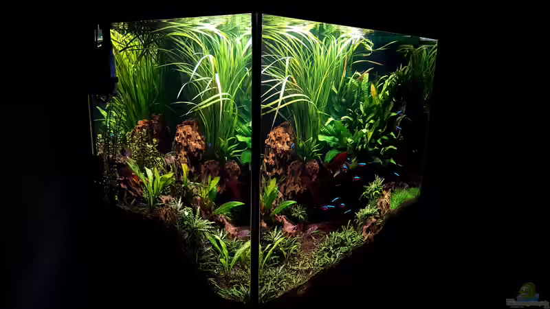 Aquarium Hauptansicht von Juwel Lido 200 12/17 von icewind (1)