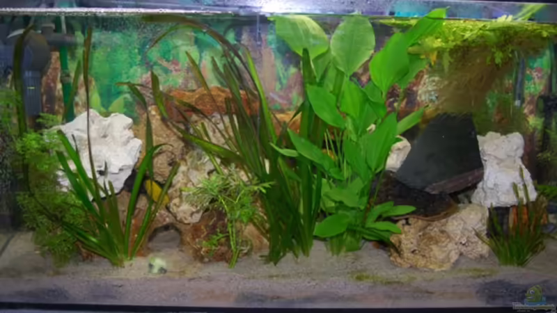 Aquarium Hauptansicht von Juwel mit schwarzem Unterschrank von Michael Schulz (1)