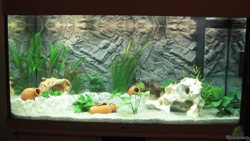 Aquarium Hauptansicht von Juwel Rio 300