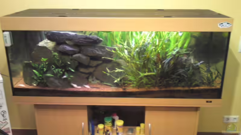 Aquarium Hauptansicht von Juwel Rio 400