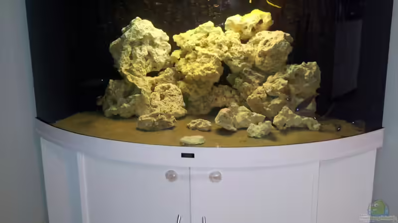 Aquarium Hauptansicht von Juwel Trigon 350 Eck Aq von ibozkurt (1)