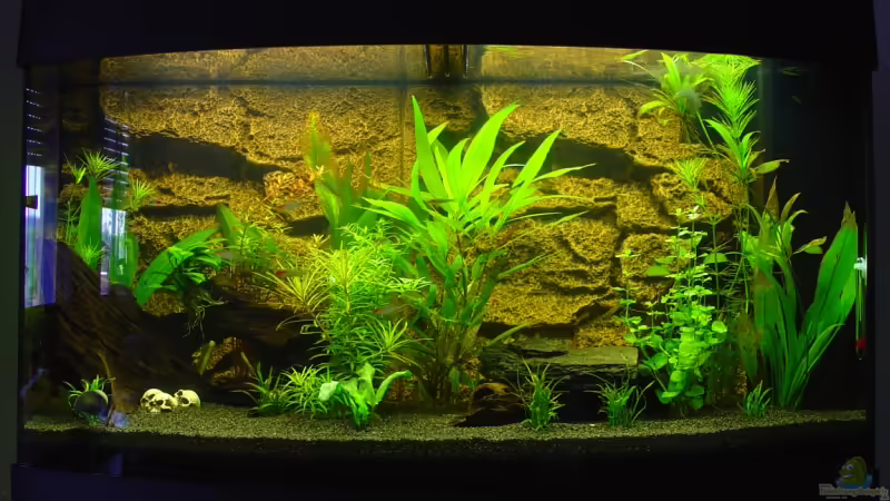 Aquarium Hauptansicht von Juwel Vision 180 von S3Racer (1)