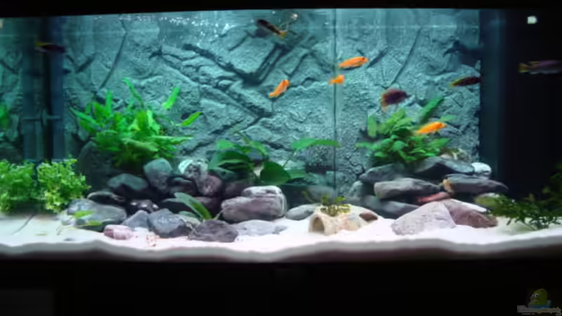 Aquarium Hauptansicht von Juwell Rio 180