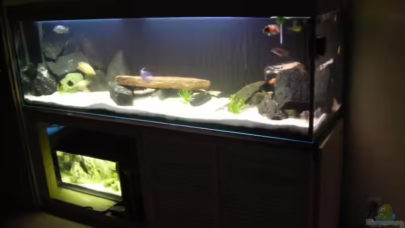 Aquarium Hauptansicht von Kaiser Biotop von Dt-Floppy (1)