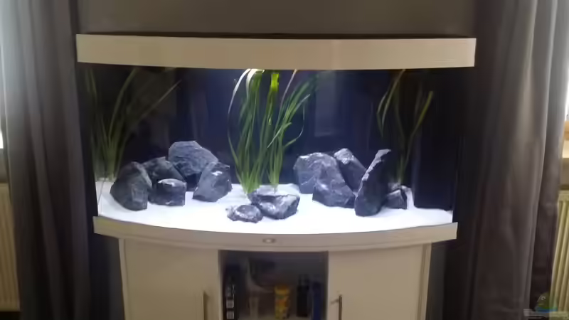 Aquarium Hauptansicht von Kleine Malawi Welt von Marcus Meyer (1)