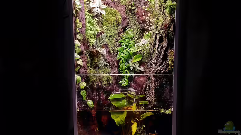 Aquarium Hauptansicht von Kleine Schlucht von Stephi (1)