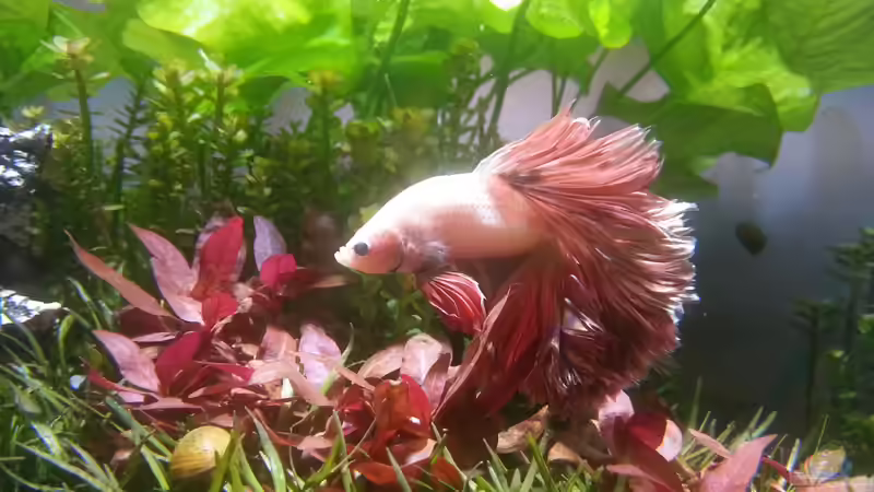 Aquarium Hauptansicht von Kölle Zoo von Koelle-Zoo (1)