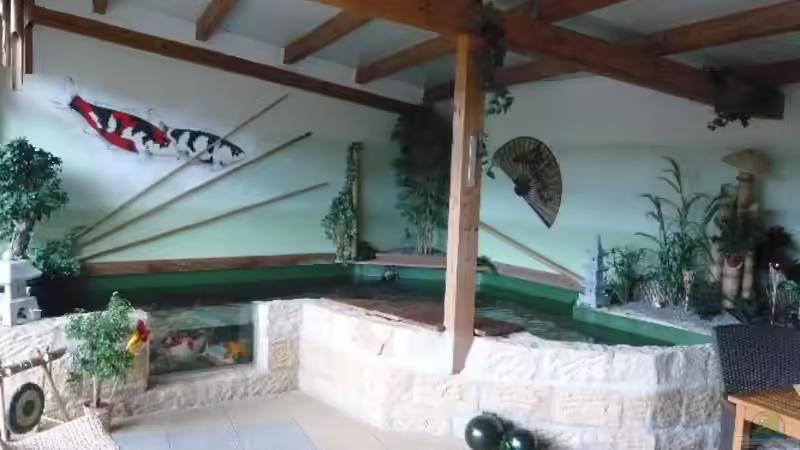 Aquarium Hauptansicht von KOIBECKEN von Sascha Schleicher (1)